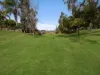 4 Harrison Court, Camira QLD 4300-Image