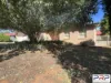 4 Hazelbank Avenue, Parkes, NSW 2870-Image