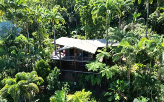 4 Hibiscus Court, Rocky Point, Mossman, Qld 4873