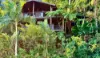 4 Hibiscus Court, Rocky Point, Mossman, Qld 4873-Image