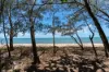 4 Hibiscus Court, Rocky Point, Mossman, Qld 4873-Image