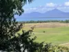 4 Hibiscus Court, Rocky Point, Mossman, Qld 4873-Image