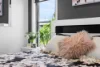 4 Howitt Street, Diggers Rest, Vic 3427-Image