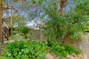 4 Ingram Street, Gowrie, ACT 2904-Image