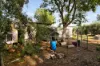 4 Irymple Avenue, Nichols Point, Vic 3501-Image
