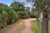4 Irymple Avenue, Nichols Point, Vic 3501-Image