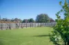 4 Jarrah Court, Narre Warren, Vic 3805-Image