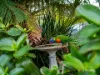 4 Kenelm Avenue, Sisters Beach, Tas 7321-Image