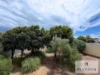 4 King St, Wonthella, WA 6530-Image