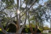 4 Koala Court, Baranduda, Vic 3691-Image