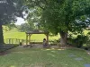 4 Kurrajong Street, Dorrigo NSW 2453-Image