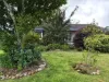 4 Kurrajong Street, Dorrigo NSW 2453-Image