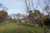 4 Liffey Street, Carrick, Tas 7291-Image