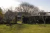 4 Liffey Street, Carrick, Tas 7291-Image