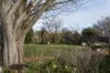 4 Liffey Street, Carrick, Tas 7291-Image