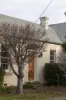 4 Liffey Street, Carrick, Tas 7291-Image