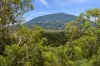 4 Lily Place, Peregian Springs, Qld 4573-Image