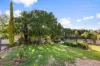 4 Lincoln Avenue, Tolland, NSW 2650-Image
