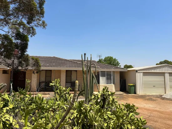 4 Lodge Street, Koorda, WA 6475