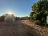 4 Lodge Street, Koorda, WA 6475-Image