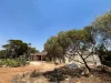 4 Lodge Street, Koorda, WA 6475-Image