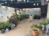 4 Lydeamore Street, Port Pirie, SA 5540-Image