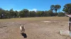 4 Mariposa Place, Stanthorpe, Qld 4380-Image