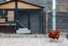 4 McMonagle Crescent, Bellbird Park, Qld 4300-Image