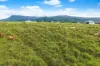 4 Menzies Road, Bartle Frere, Qld 4861-Image