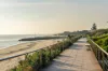 4 Milan Court, Bonbeach, Vic 3196-Image