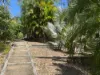4 Mirabel Ave, Arcadia, Qld 4819-Image