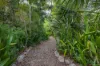 4  Mitti Street, Noosa Heads, Qld 4567-Image