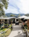 4 Monarch Street, Wongawilli, NSW 2530-Image