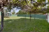 4 Mons Street, Canterbury, NSW 2193-Image