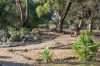 4 Morony Drive, Gawler Belt, SA 5118-Image
