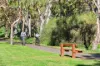 4 Morven Court, Highton, Vic 3216-Image