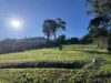 4 Mount Martha Road, Mount Martha, Vic 3934-Image