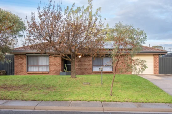 4 Napier Ct, Noarlunga Downs, SA 5168