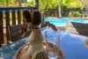 4 Nina Court, Cooloola Cove QLD 4580-Image
