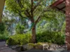 4 Outram Street, West Launceston, Tas 7250-Image