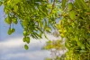 4 Pacey Street, Gympie, Qld 4570-Image