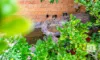 4 Palanas Drive, Taree, NSW 2430-Image