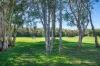 4 Pampling Place, Twin Waters, Qld 4564-Image