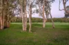 4 Pampling Place, Twin Waters, Qld 4564-Image