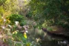4 Parkview Place, Bridgeman Downs, Qld 4035-Image
