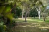 4 Parkview Place, Bridgeman Downs, Qld 4035-Image