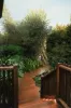 4 Parle Crescent, Buderim QLD 4556-Image