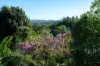 4 Parle Crescent, Buderim QLD 4556-Image