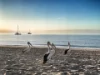 4 Partridge Close, Torquay, Qld 4655-Image