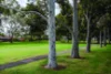 4 Paxton Mews, Onkaparinga Hills, SA 5163-Image